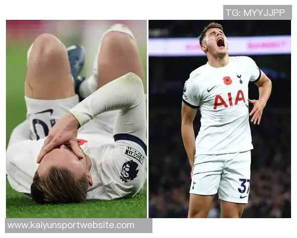 谢林汉姆称赞热刺中卫组合范德芬与罗梅罗为英超顶尖之选